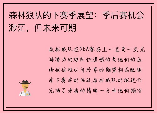 森林狼队的下赛季展望：季后赛机会渺茫，但未来可期